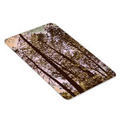 kleur van de bomen magneet (Rechterzijde)