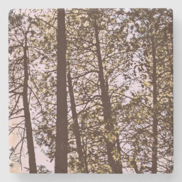 Kleur van de bomen stenen onderzetter