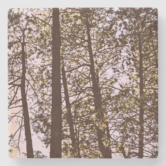 Kleur van de bomen stenen onderzetter (Voorkant)