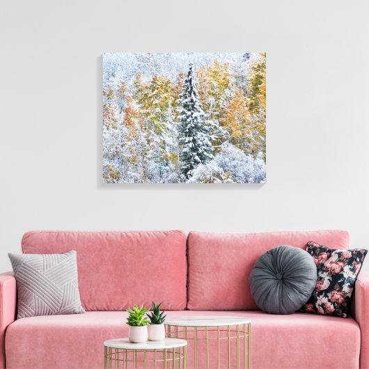 Kleur van de spens- en sneeuwbalpas canvas afdruk (Insitu (Woonkamer))