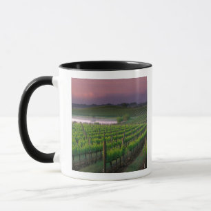Kleur van zonsopgang in de verre nevel achter mok