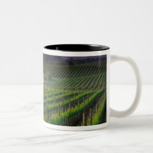 Kleur van zonsopgang in de verre nevel achter tweekleurige koffiemok