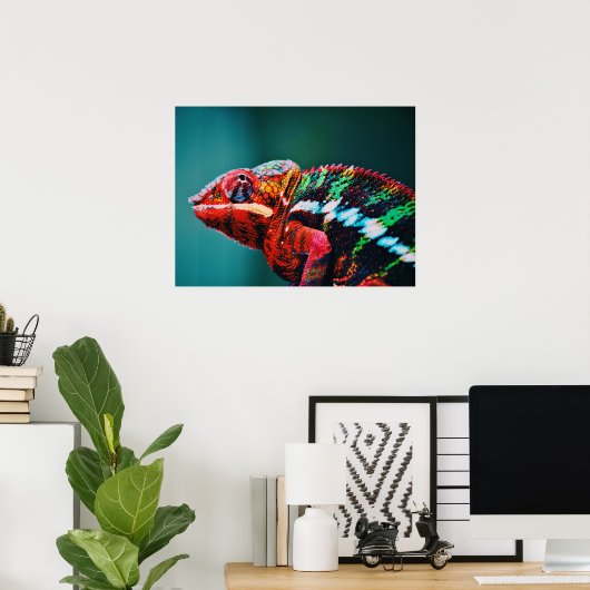 Kleur veranderende regenboogkameleon Reptile Poster (Thuiskantoor)