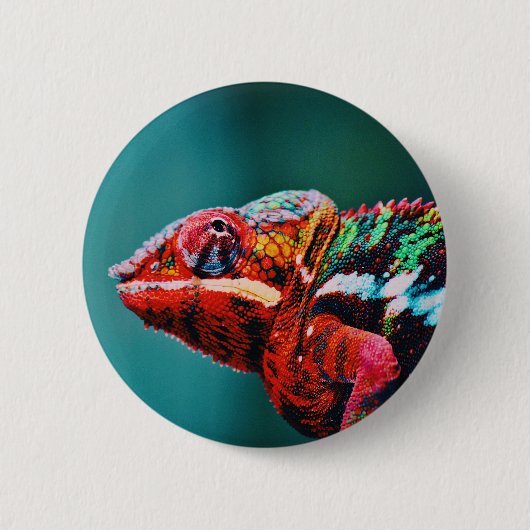 Kleur veranderende regenboogkameleon Reptile Ronde Button 5,7 Cm (Voorkant)