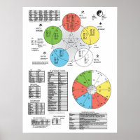 Kleur vijf element Acupunctie-Poster