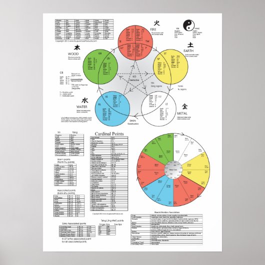 Kleur vijf element Acupunctie-Poster Poster (Voorkant)