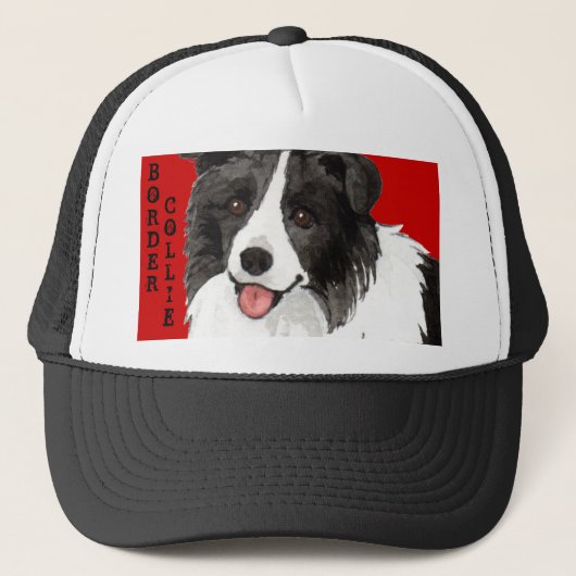 Kleurblok rand trucker pet (Voorkant)