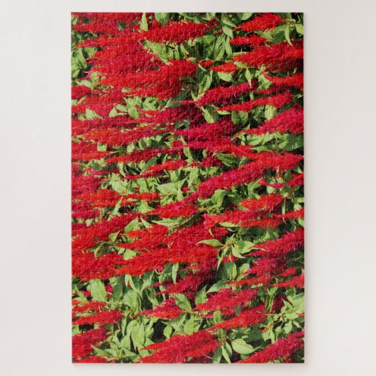 Kleuren 1 legpuzzel (Verticaal)