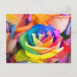 kleuren bloem briefkaart