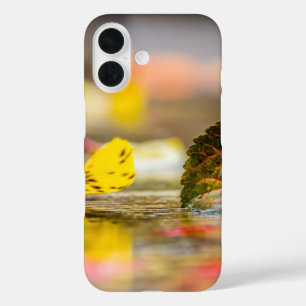 Kleuren invallen iPhone 16 hoesje