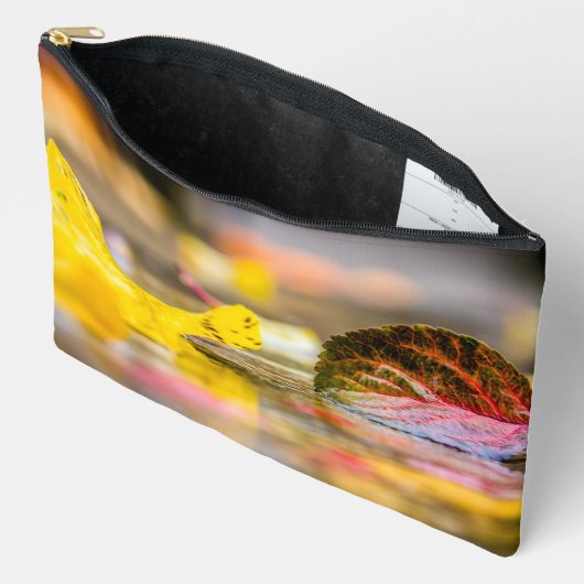 Kleuren invallen etui (Open)