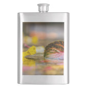 Kleuren invallen flacon (Voorkant)