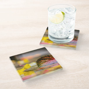 Kleuren invallen glazen onderzetter