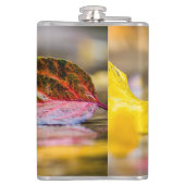 Kleuren invallen heupfles (Achterkant)