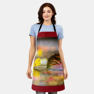 Kleuren invallen schort