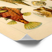 kleuren kleur Ernst Haeckel Art afdrukken Poster (Hoek)