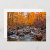 Kleuren vallen in het Ruby-gebergte Briefkaart (Voorkant / Achterkant)