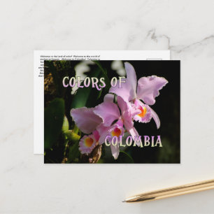 Kleuren van Colombia Cattleya Orchid Briefkaart