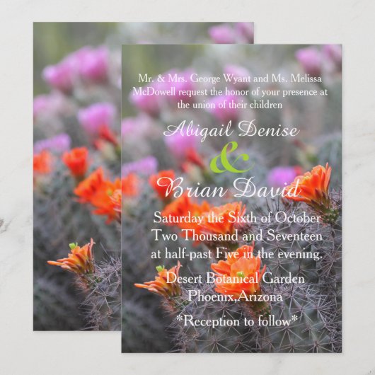 Kleuren van de achtergrond van de woestijncactus b kaart (Voorkant / Achterkant)