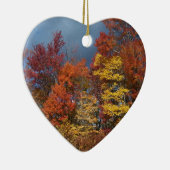 Kleuren van de blauwe Ridge-bergen Keramisch Ornament (Rechts)