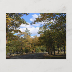 Kleuren van de Herfst... Briefkaart