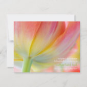 Kleuren van de Lente • Trouwreceptie Uitnodiging (Voorkant)