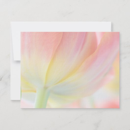 Kleuren van de Lente • Uitnodiging Bruiloftsrecept (Achterkant)