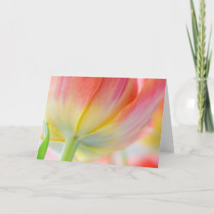 Kleuren van de Lente - Wenskaart Kaart