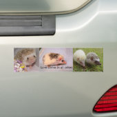 kleuren van de liefdesbumpersticker bumpersticker (Op auto)