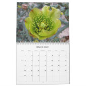 Kleuren van de Mojave 2011 Kalender (Mar 2026)