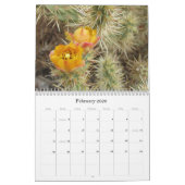 Kleuren van de Mojave 2011 Kalender (Feb 2026)