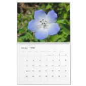 Kleuren van de Natuur Kalender (Jan 2026)