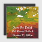 Kleuren van de Natuur "Maple Leaf Autumn" Fotograf (Voorkant / Achterkant)