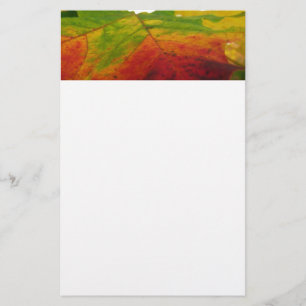 Kleuren van de Natuur "Maple Leaf Autumn" Fotograf Briefpapier
