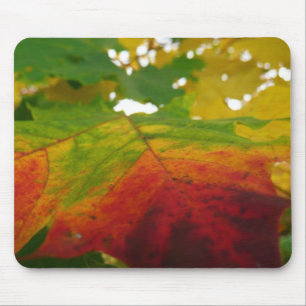 Kleuren van de Natuur "Maple Leaf Autumn" Fotograf Muismat