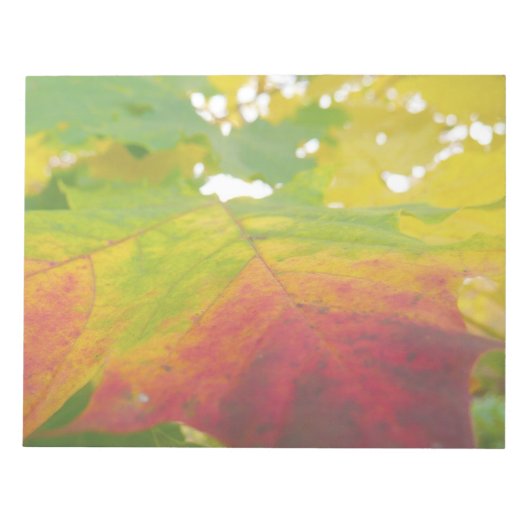 Kleuren van de Natuur "Maple Leaf Autumn" Fotograf Notitieblok (Voorkant)