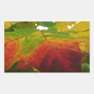 Kleuren van de Natuur "Maple Leaf Autumn" Fotograf Rechthoekige Sticker