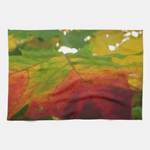 Kleuren van de Natuur "Maple Leaf Autumn" Fotograf Theedoek