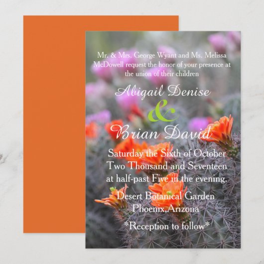 Kleuren van de oranje achtergrond van de woestijn kaart (Voorkant / Achterkant)