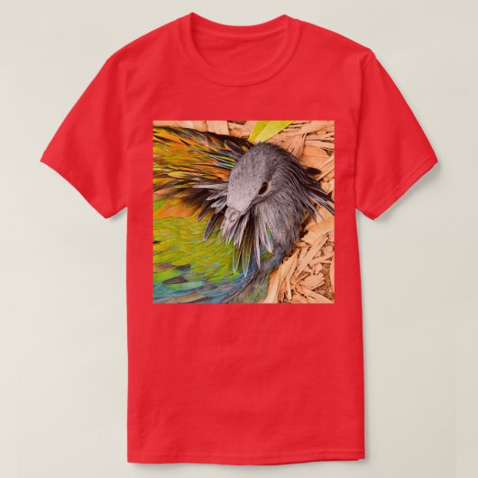 Kleuren van de regenboog t-shirt (Design voorkant)