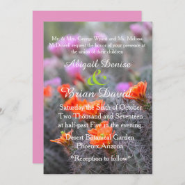 Kleuren van de roze achtergrond van de woestijn kaart