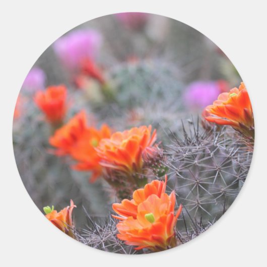Kleuren van de woestijn ronde sticker (Voorkant)