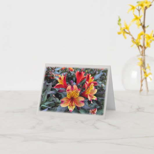 Kleuren van de zomer kaart (Gele Bloem)