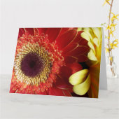 Kleuren van Gerberas Kaart (Gele Bloem)