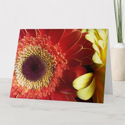 Kleuren van Gerberas Kaart (Voorkant)