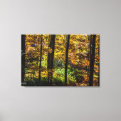 Kleuren van het Autumn-landschap Canvas Afdruk (Voorkant)