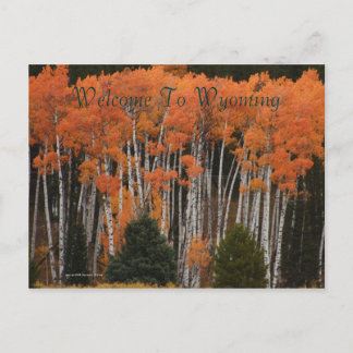 Kleuren van het Briefkaart Tetons