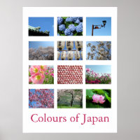 Kleuren van Japan (blauw/wit/roze)