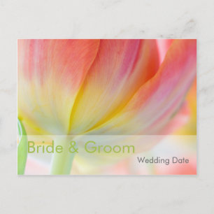 Kleuren van Spring Tulip · Orde van de Dag Briefka Briefkaart