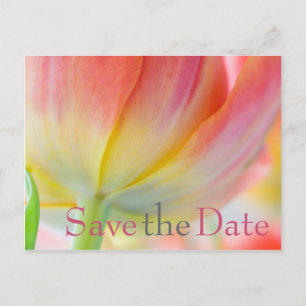 Kleuren van Spring Tulip Save the Date Briefkaart